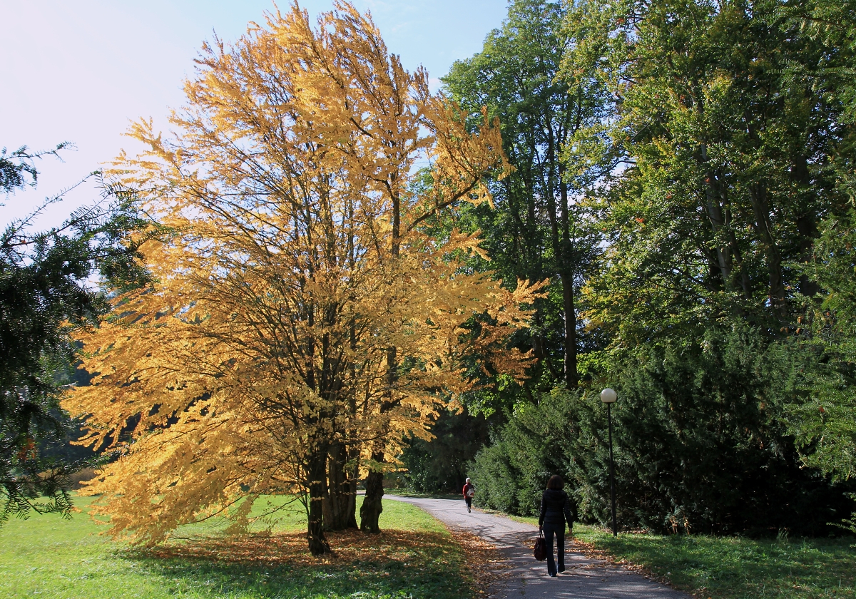 Zámecký park