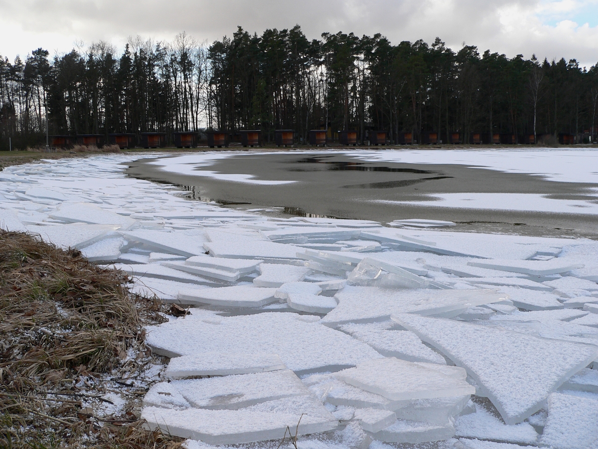 Rybník Bezdrev v zimě